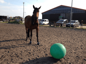 Galdina beim Ballspielen