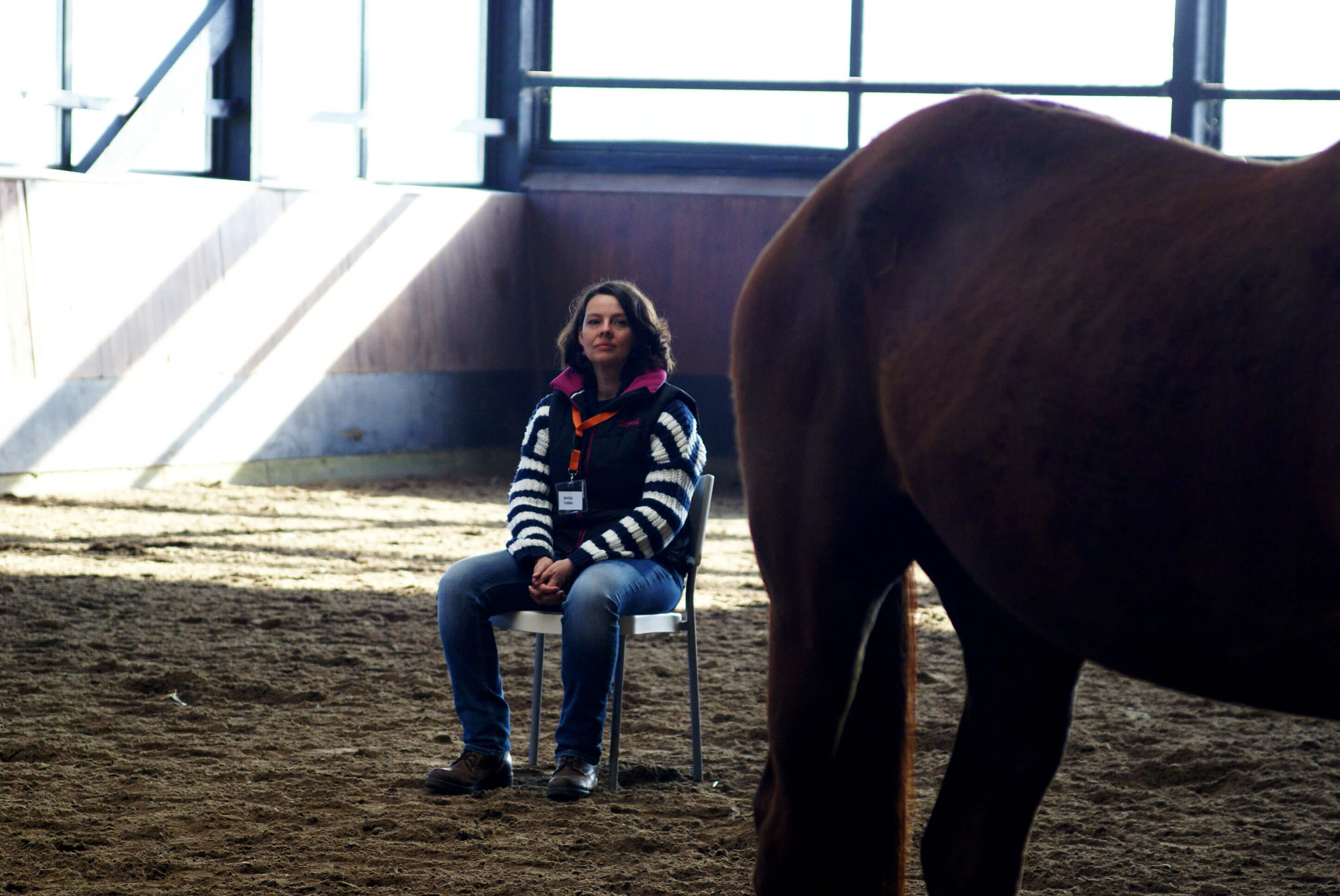 Coaching mit Pferden - eine Übung