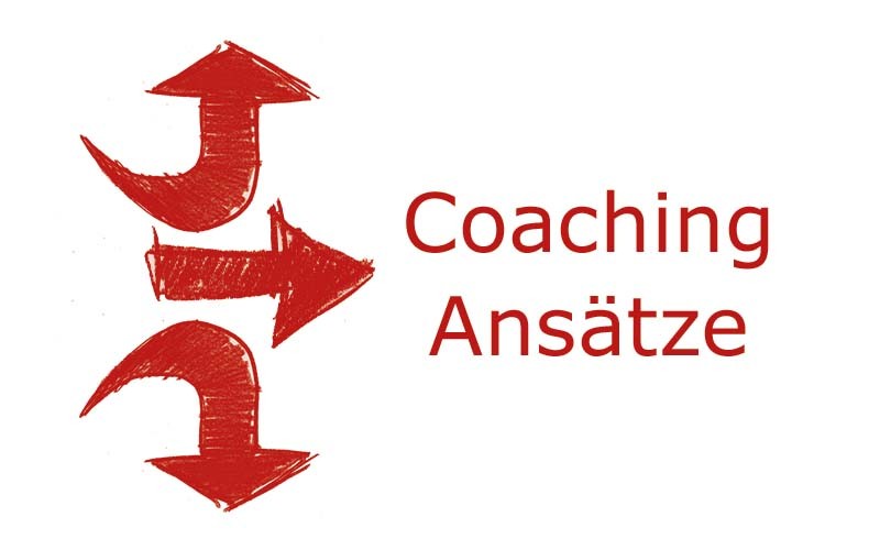 Coaching Ansätze | Coaching mit Pferden Harz - Antje Liebe