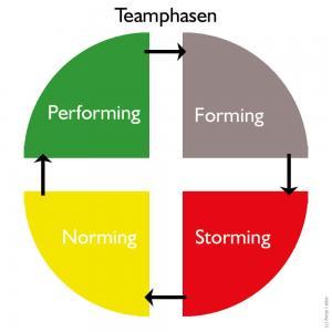 Teamphasen - Coaching mit Pferden Harz