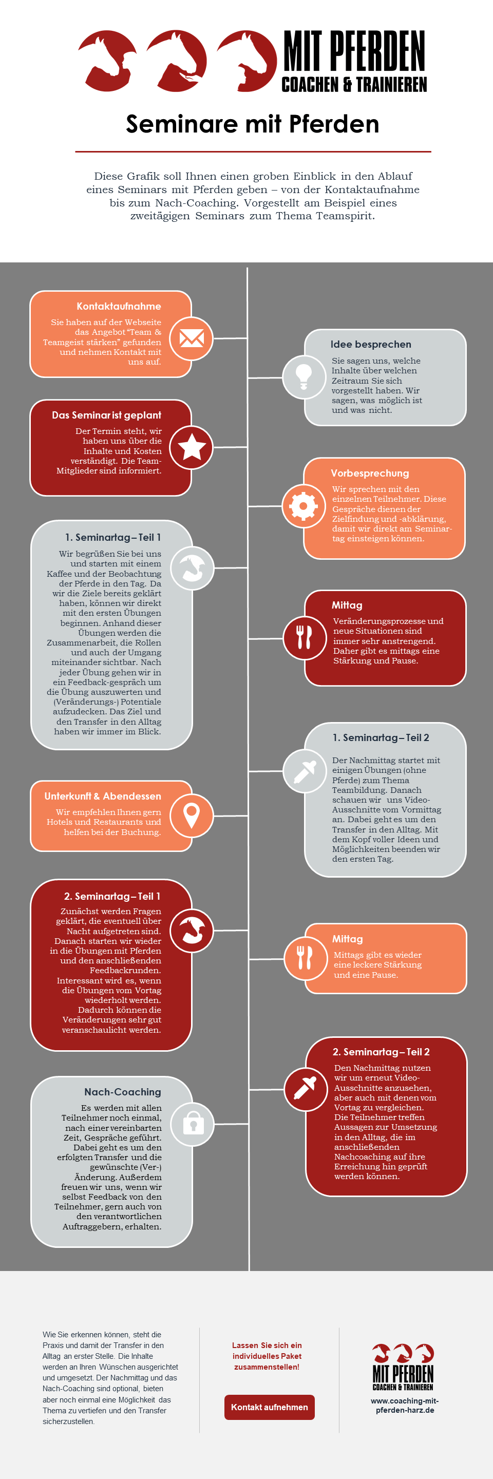 Infografik Ablauf von Seminaren mit Pferden - Coaching mit Pferden Harz