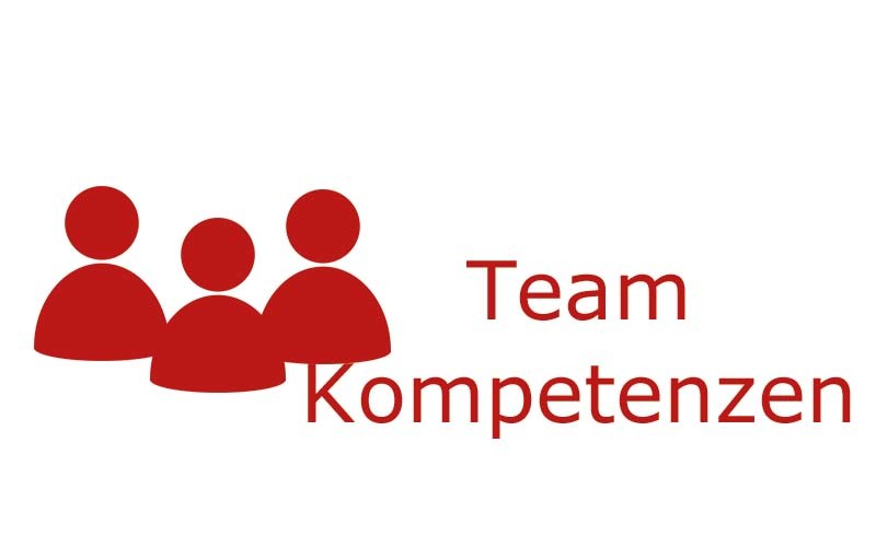 Team Kompetenzen | Coaching mit Pferden Harz - Antje Liebe