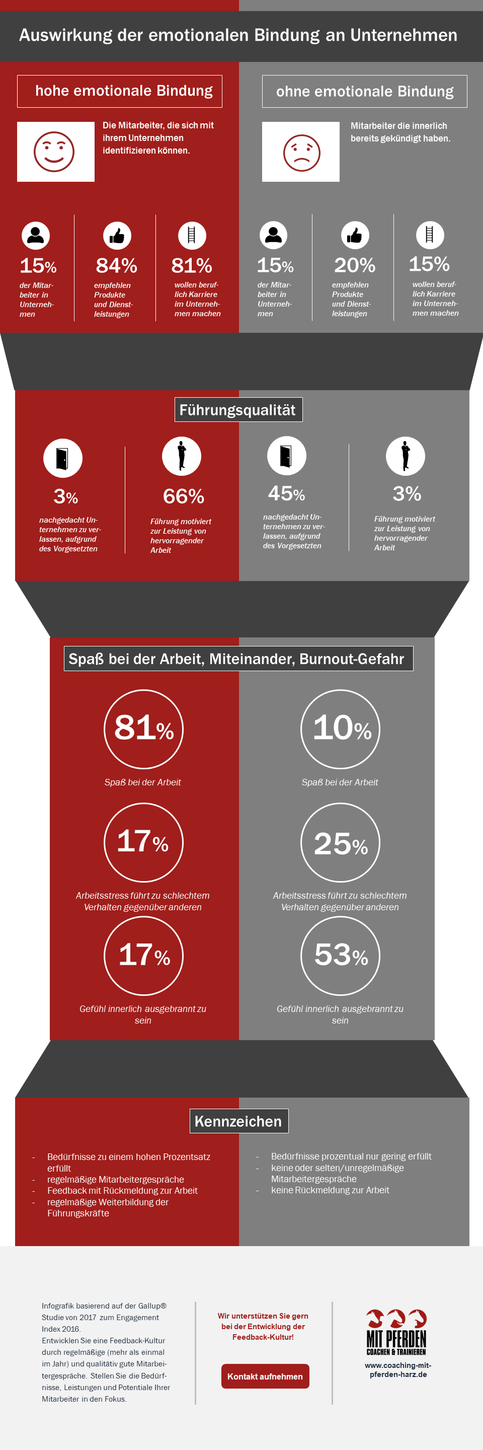 Infografik emotionale Bindung - Coaching mit Pferden Harz