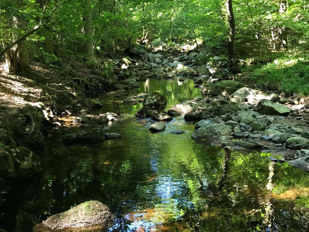 Steinerne Renne - Harz