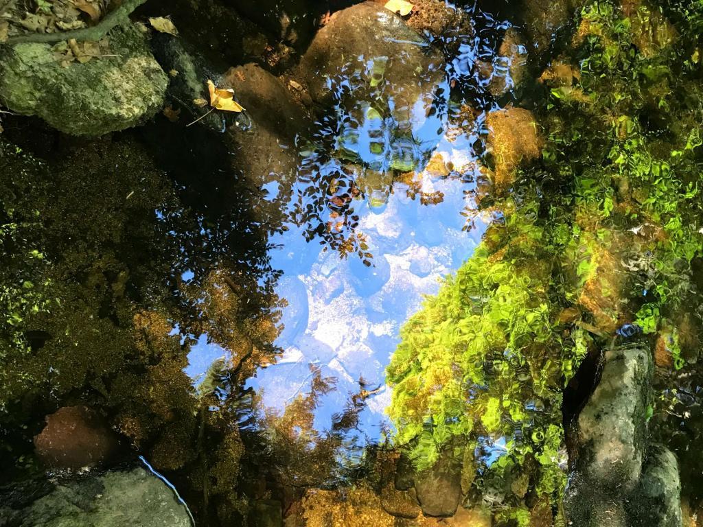 Steinerne Renne - Harz