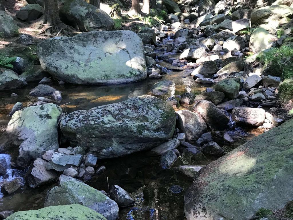 Steinerne Renne - Harz