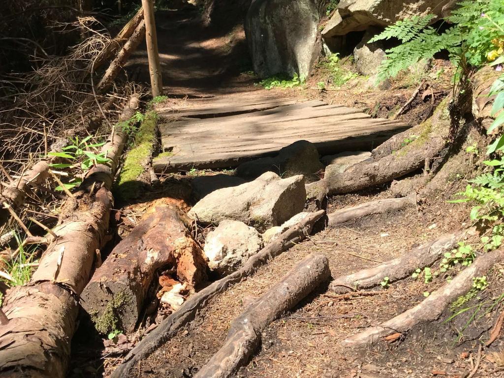 Steinerne Renne - Harz