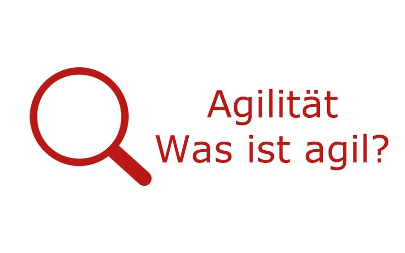 agil, Agilität, Definition agil, Agilität Definition, agil Definition, Definition Agilität | Coaching mit Pferden Harz - Antje Liebe