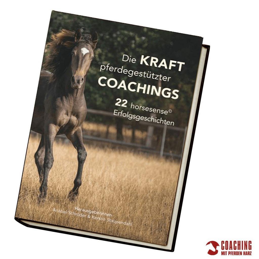 Die Kraft pferdegestützter Coachings – 22 horsesense© Erfolgsgeschichten