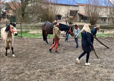 Coaching mit Pferden Harz, pferdegestütztes Coaching, pferdegestütztes Training, Seminare mit Pferden | Antje Liebe