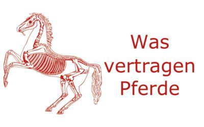 Was vertragen Pferde besser – Hitze oder Kälte?