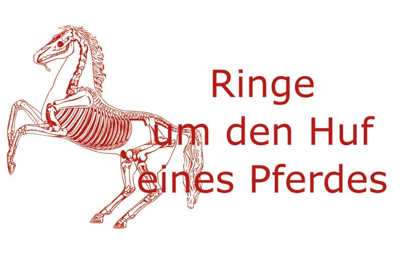 Ringe um den Huf eines Pferdes | Coaching mit Pferden Harz - Antje Liebe