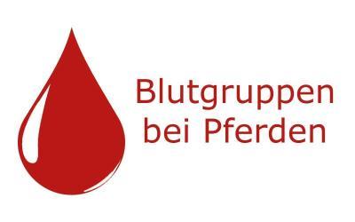 Die 7 Blutgruppen bei Pferden