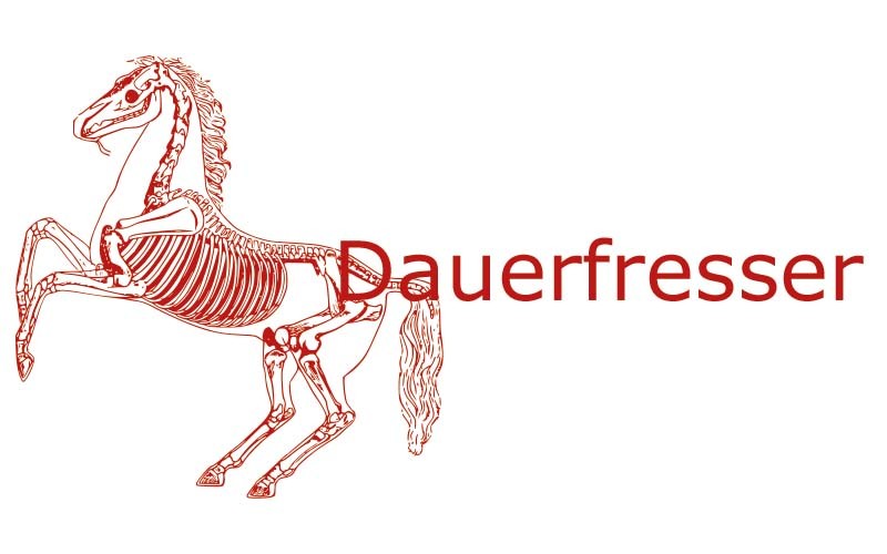 Pferde als Dauerfresser | Coaching mit Pferden Harz - Antje Liebe