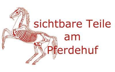 sichtbare Teile am Pferdehuf