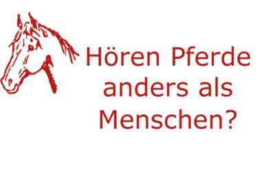 Hören Pferde anders als Menschen?