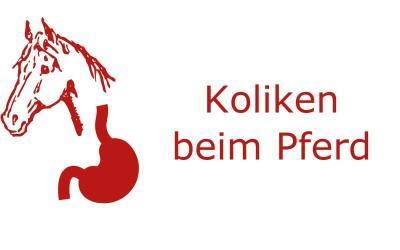 Haben Pferde häufiger Koliken?