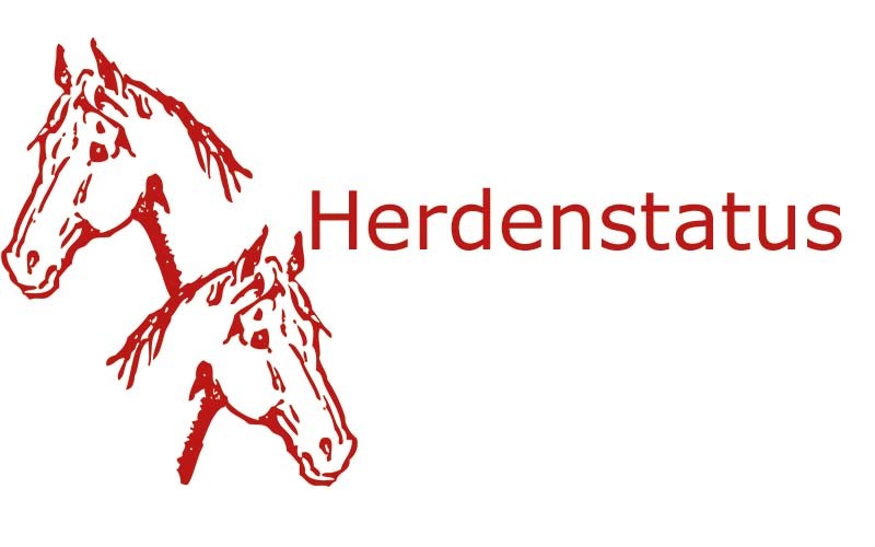 Herdenstatus Pferde | Coaching mit Pferden Harz - Antje Liebe