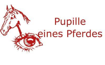 Die Pupille eines Pferdes