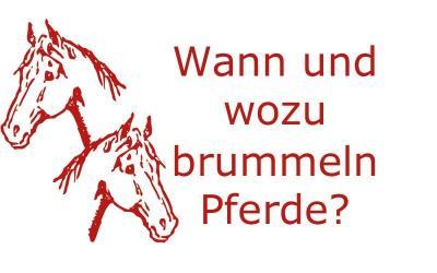 Wann und wozu brummeln Pferde?