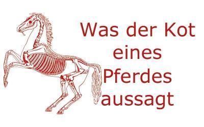 Was der Kot über dein Pferd aussagt