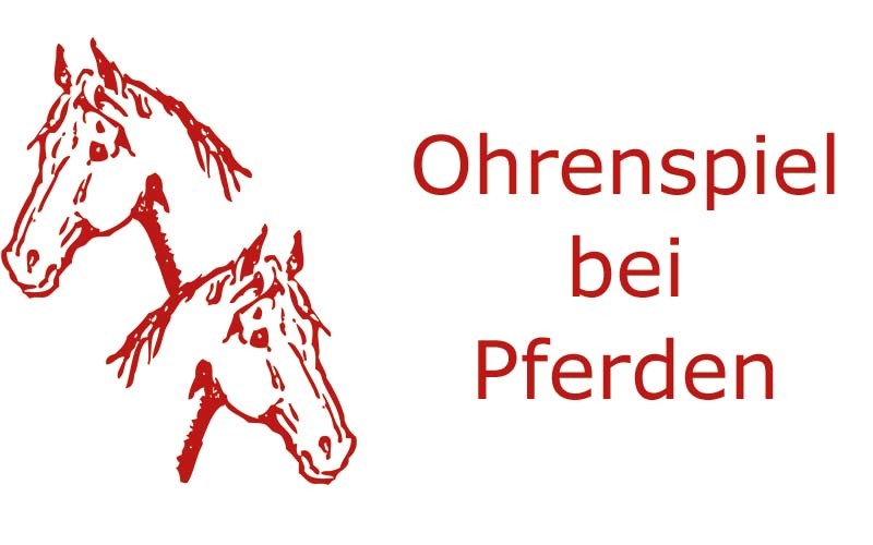 Ohrenspiel bei Pferden | Coaching mit Pferden Harz - Antje Liebe