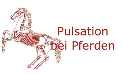 Was bezeichnet man als Pulsation?