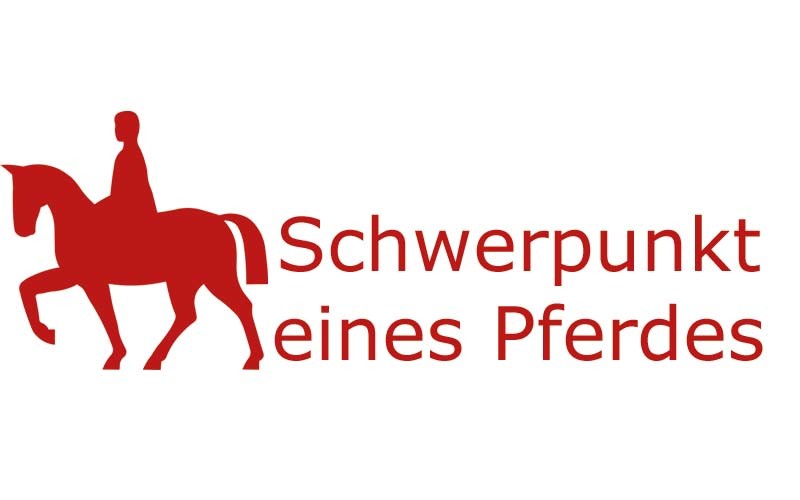Schwerpunkt eines Pferdes | Coaching mit Pferden Harz - Antje Liebe