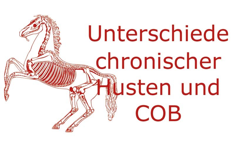 Unterschied chronischer Husten und chronisch-obstruktiver Bronchitis bei Pferden | Coaching mit Pferden Harz - Antje Liebe