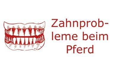 Zahnprobleme beim Pferd – was sind die häufigsten Ursachen?