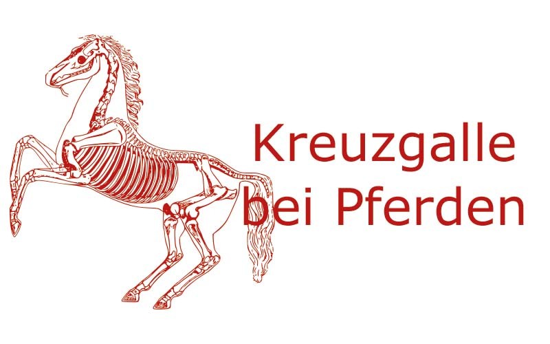 Kreuzgalle bei Pferden | Coaching mit Pferden Harz - Antje Liebe