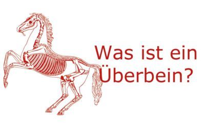 Was ist ein Überbein?