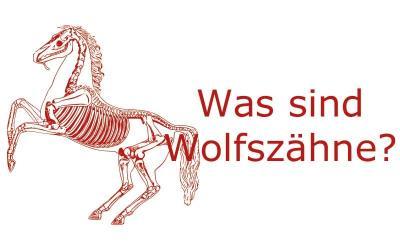 Was sind Wolfszähne?
