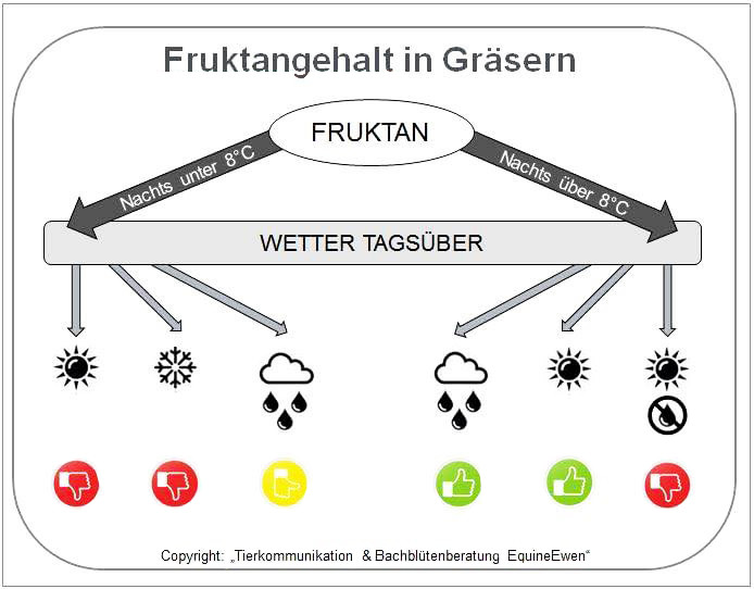 Hufrehe Auslöser- Fructangehalt in Gräsern - Grafik Tierkommunikation & Bachblütenberatung EquineEwen