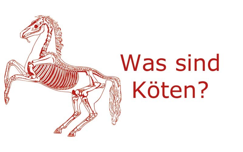 Was sind Köten beim Pferd?, Köten Pferde | Coaching mit Pferden Harz - Antje Liebe