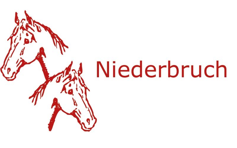 Niederbruch bei Pferden | Coaching mit Pferden Harz - Antje Liebe