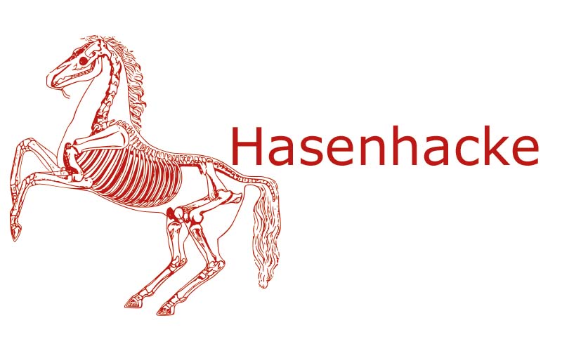Hasenhacke, Eiergalle, Piephacke | Coaching mit Pferden Harz - Antje Liebe
