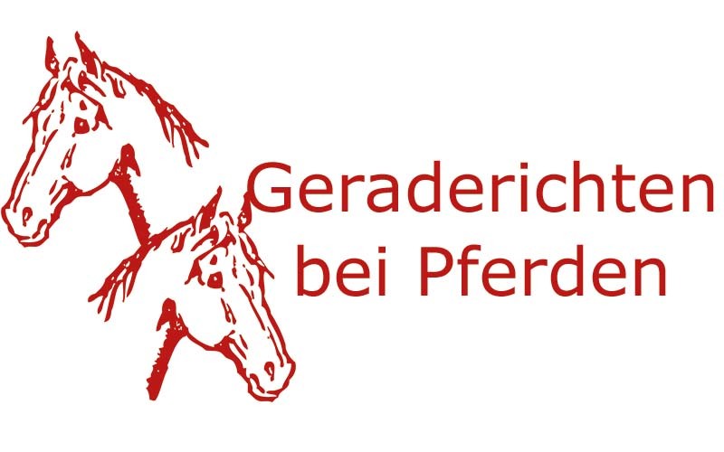 Geraderichten bei Pferden | Coaching mit Pferden Harz - Antje Liebe