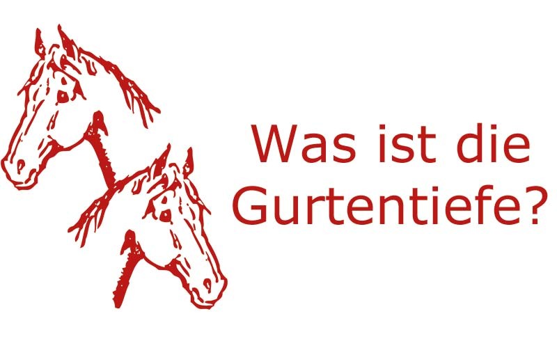 Gurtentiefe bei Pferden | Coaching mit Pferden Harz - Antje Liebe