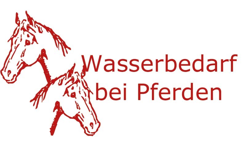 Wasserbedarf eines Pferdes | Coaching mit Pferden Harz - Antje Liebe