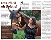 Zeitungsinterview HARZZEIT "Das Pferd als Spiegel", Mit Pferden coachen & trainieren | Coaching mit Pferden Harz, Antje Liebe