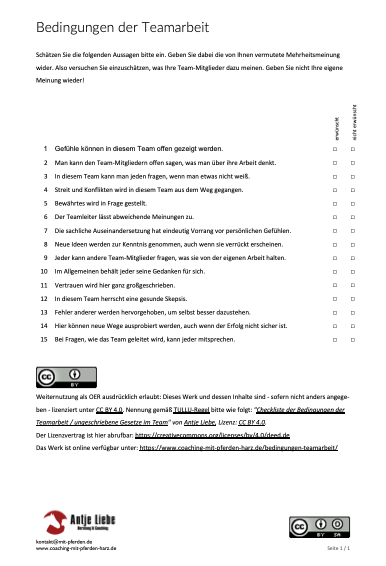 Checkliste Bedingungen der Teamarbeit / ungeschriebene Gesetze im Team | Coaching mit Pferden Harz - Antje Liebe