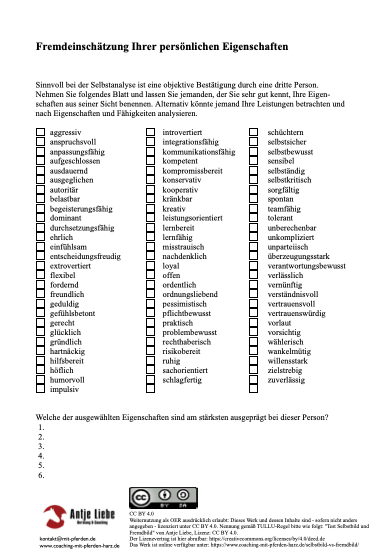 Fremdeinschätzung Fremdbild | Coaching mit Pferden Harz - Antje Liebe