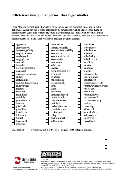 Selbsteinschätzung Selbstbild | Coaching mit Pferden Harz - Antje Liebe