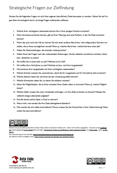 strategische Fragen zur Zielfindung | Coaching mit Pferden Harz - Antje Liebe