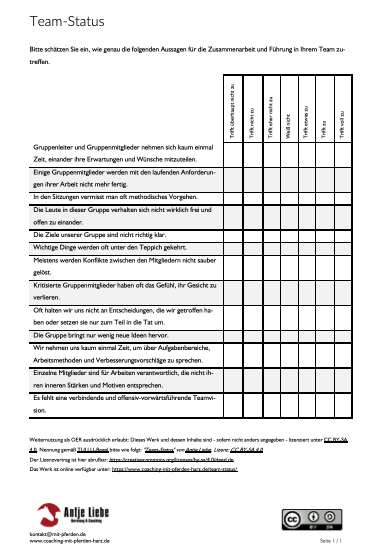 Team-Status | Coaching mit Pferden Harz - Antje Liebe