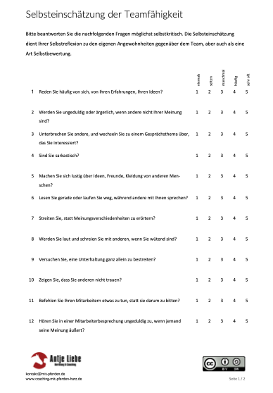 Test / Selbsteinschätzung der eigenen Teamfähigkeit | Coaching mit Pferden Harz - Antje Liebe