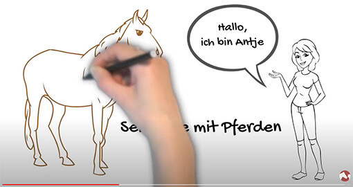 Video Seminare mit Pferden