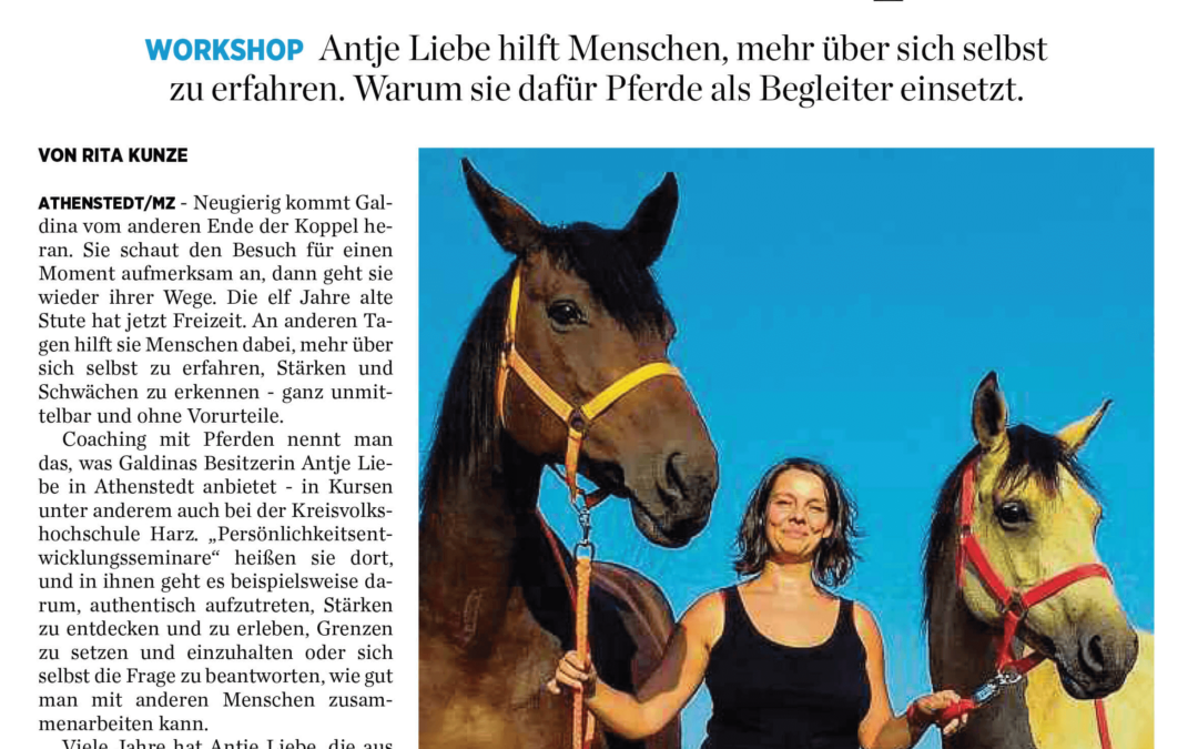 Artikel MZ Quedlinburg "Bauch statt Kopf" 09/2018 | Coaching mit Pferden Harz