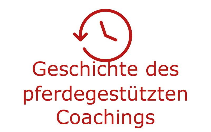 Die Geschichte des pferdegestützten Coachings | Coaching mit Pferden Harz - Antje Liebe